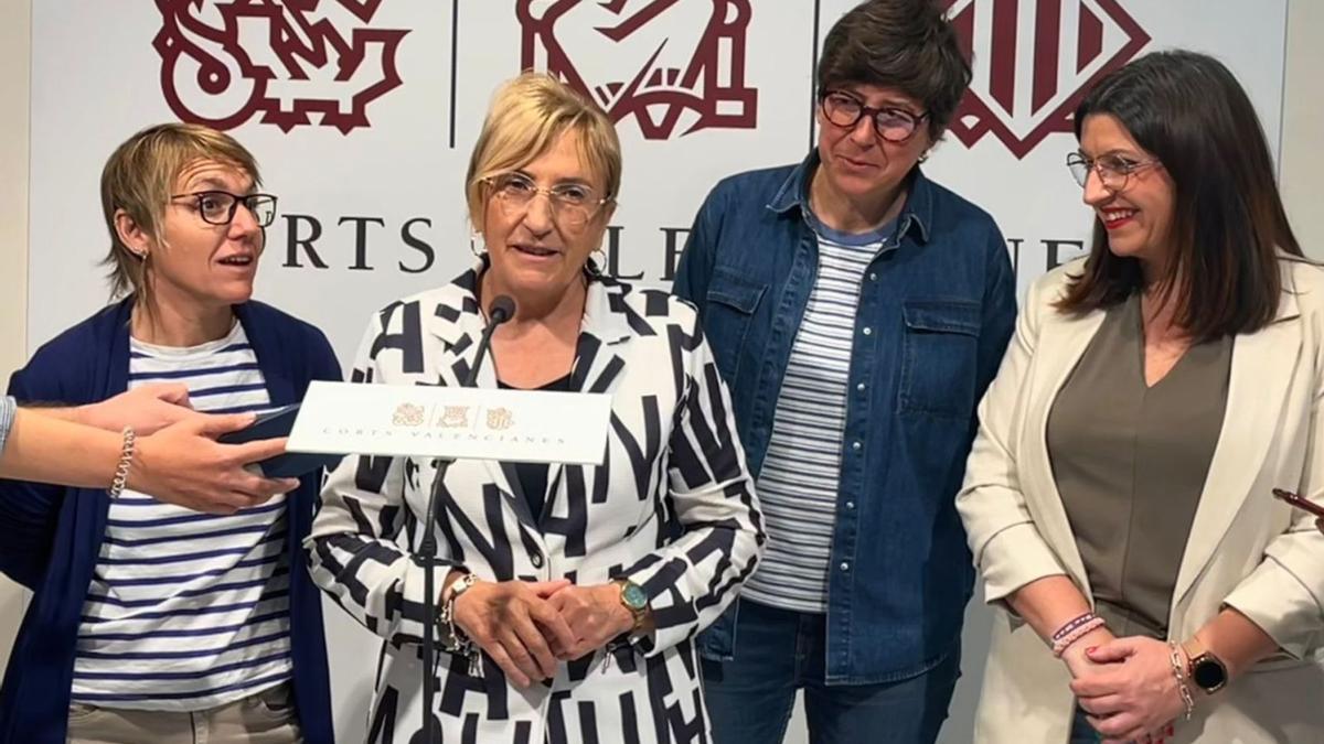 Papi Robles (Compromís), Ana Barceló (PSPV-PSOE), Pilar Lima y Estefanía Blanes (Unides Podem) comparecen en las Cortes. | INFORMACIÓN