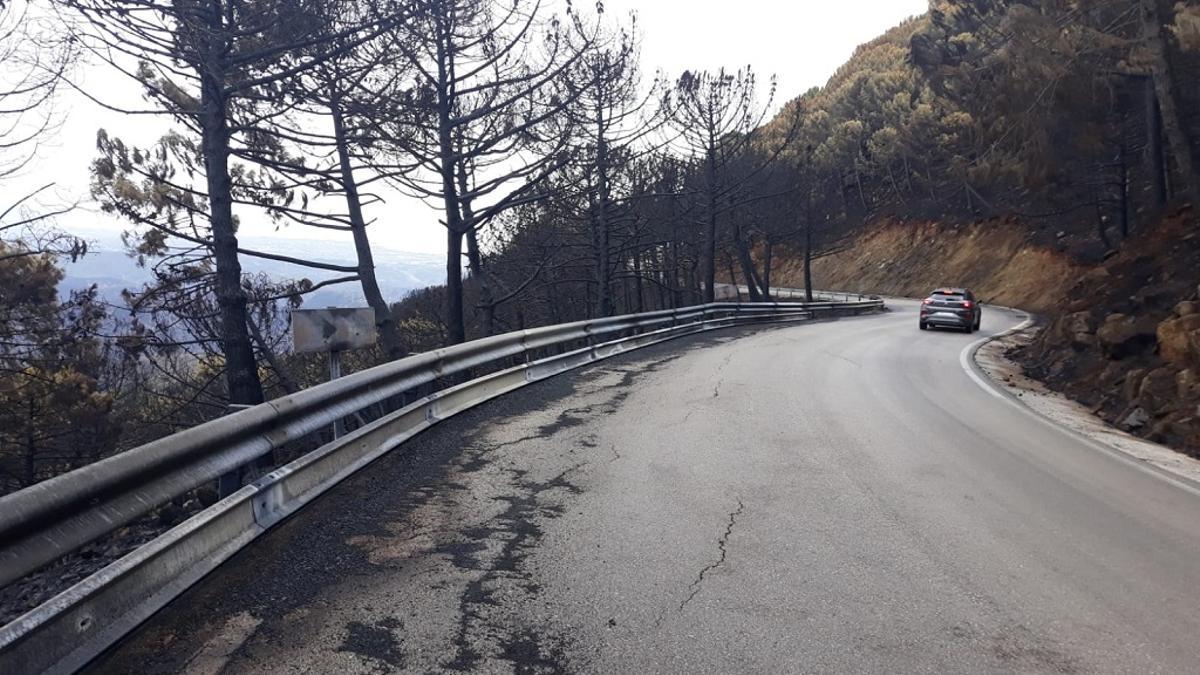 Imagen de una de las carreteras afectadas por el incendio de Sierra Bermeja.