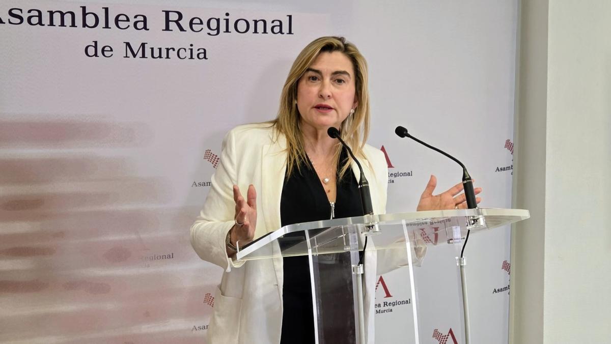 Carmina Fernández, portavoz del Grupo Socialista.