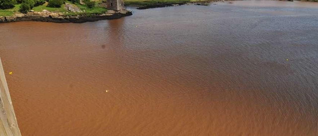 El río Ulla teñido de color marrón a su paso por el término municipal de Vilagarcía. // Iñaki Abella