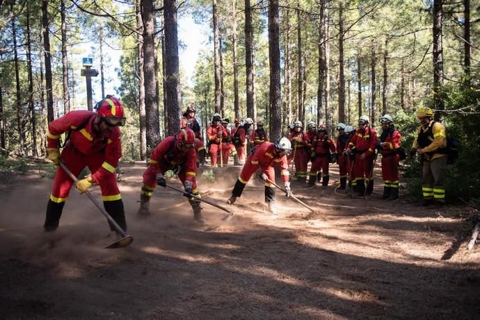 La UME realiza prácticas de prevención de incendios en Gran Canaria