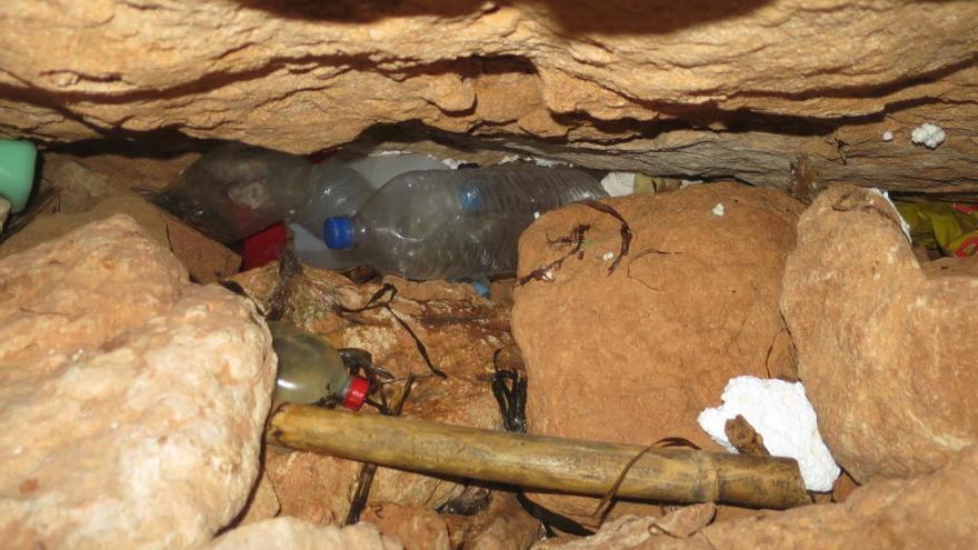 El plástico invade  los nidos  de los &#039;virots&#039; en sa Conillera