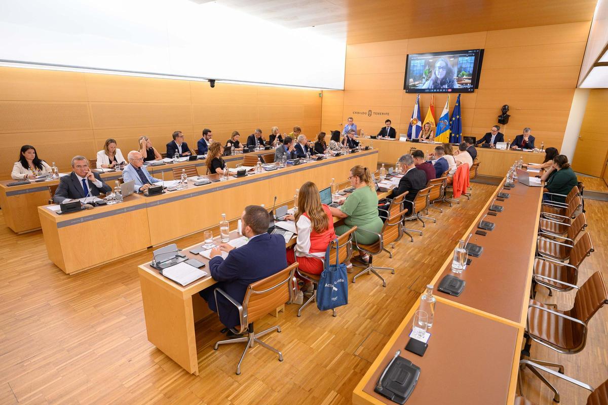 Imagen del último pleno en el Cabildo de Tenerife