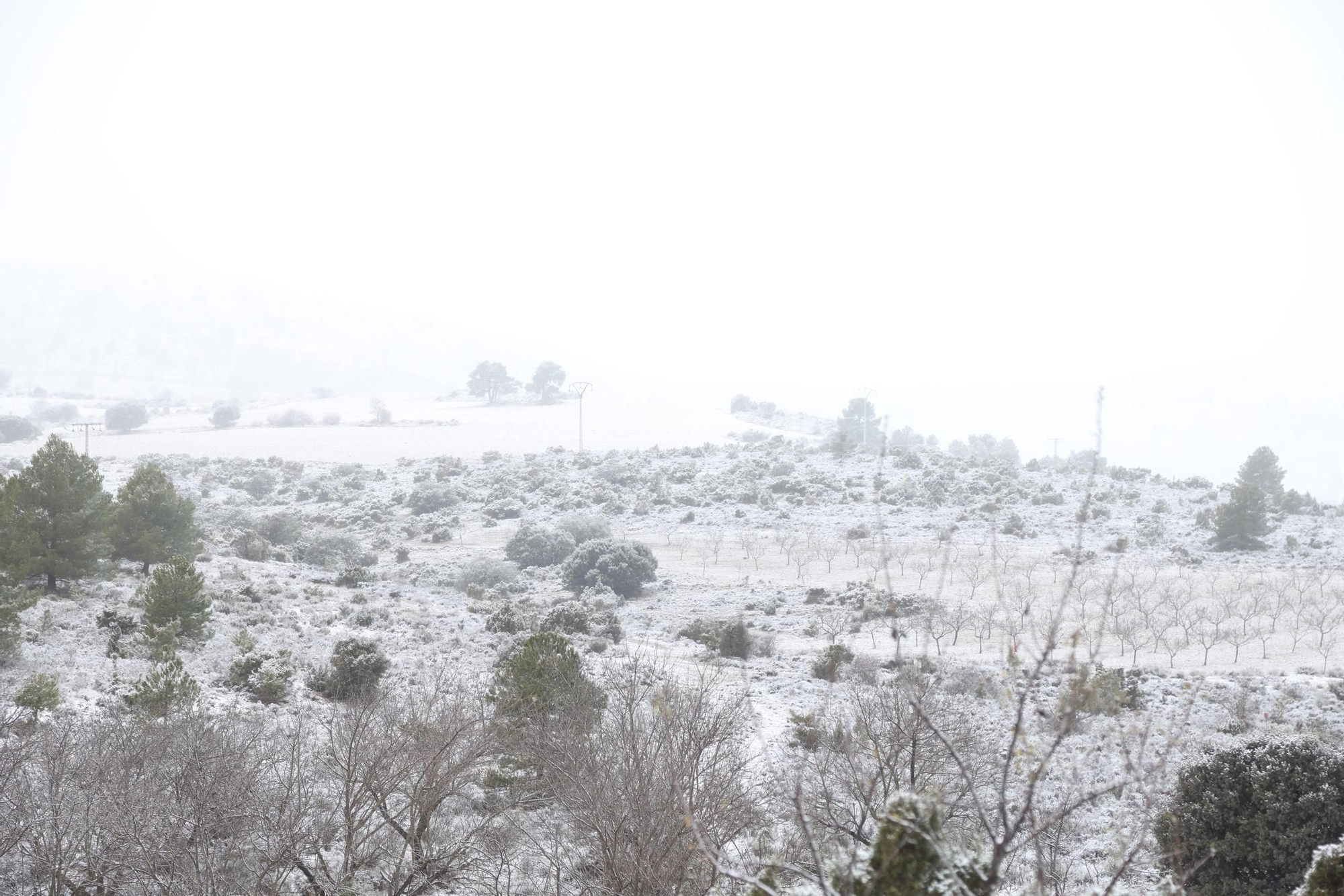 La espectacular nevada que ha teñido de blanco todo Inazares, en imágenes
