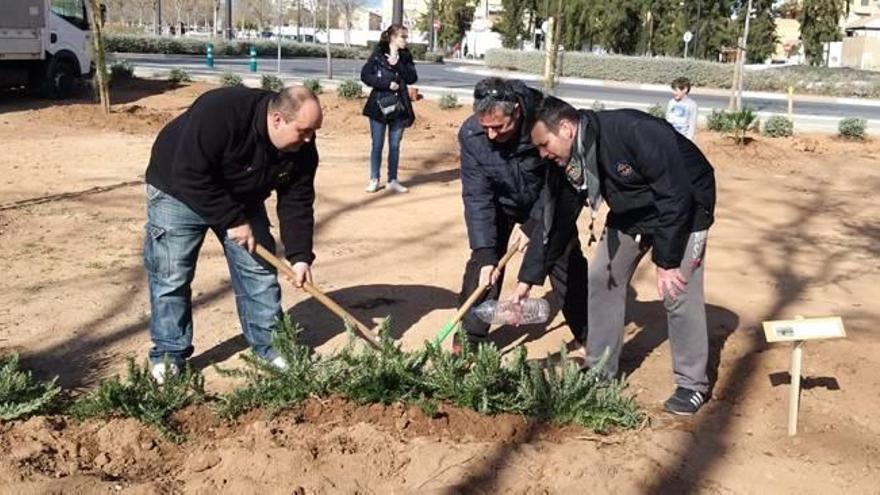 Plantación en el Día del Árbol Urbano de La Victòria.