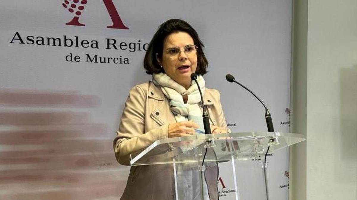 Araceli Valdés, de Aceimur, este lunes durante su comparecencia en la Asamblea Regional.