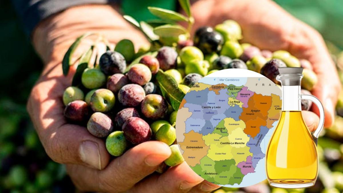 España no solo es una de las principales, sino que es el líder mundial absoluto en producción y exportación de aceite de oliva