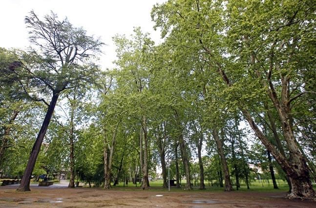 El Parque de Castrelos se muda con las estaciones