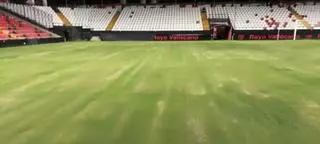 Martín Presa: "El césped está perfecto para jugar, es la tonalidad de un césped bermuda"