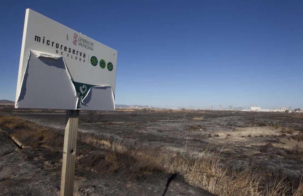 La Marjal dels Moros tras el incendio