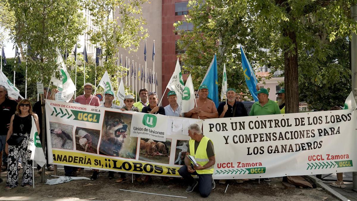 Concentración de Unión de Uniones de agricultores y ganaderos para exigir una gestión racional del lobo y la protección de la ganadería, frente a la sede de la UE