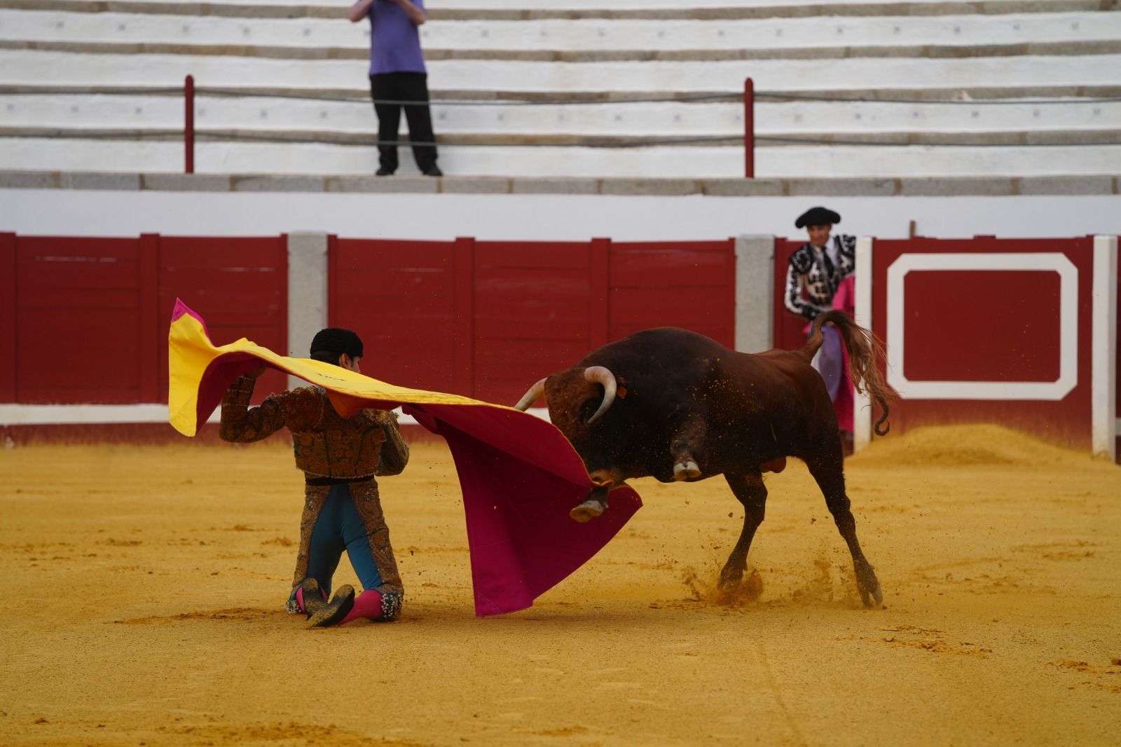 El Candela y De Gracia triunfan en la plaza de Pozoblanco