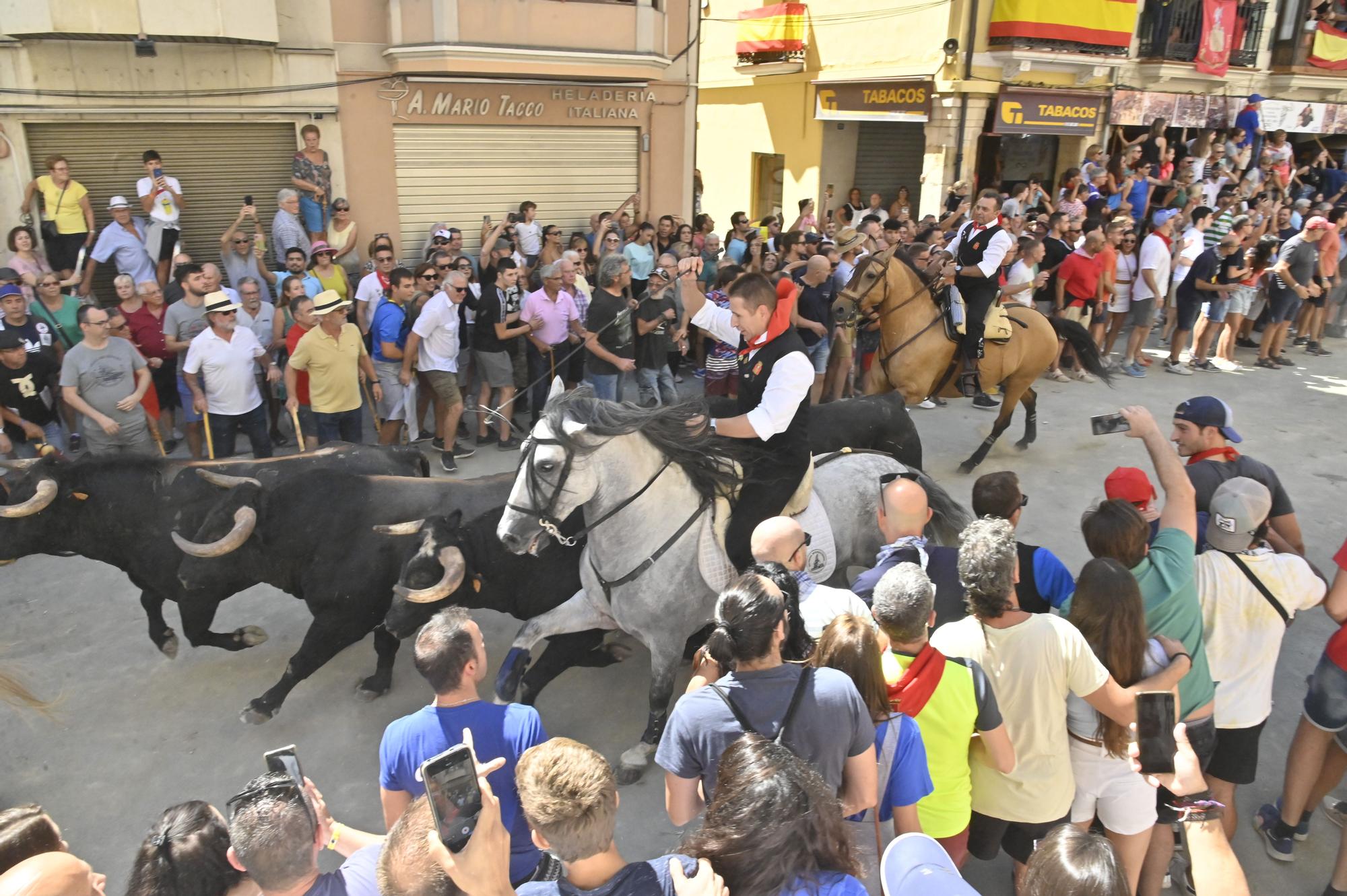 Fotos de ambiente y de la segunda Entrada de Toros y Caballos de Segorbe