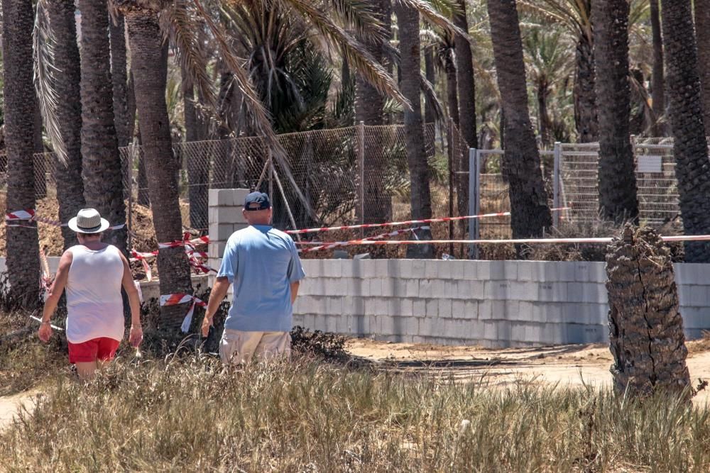 Un muro cierra el palmeral de Ferrís en Torrevieja