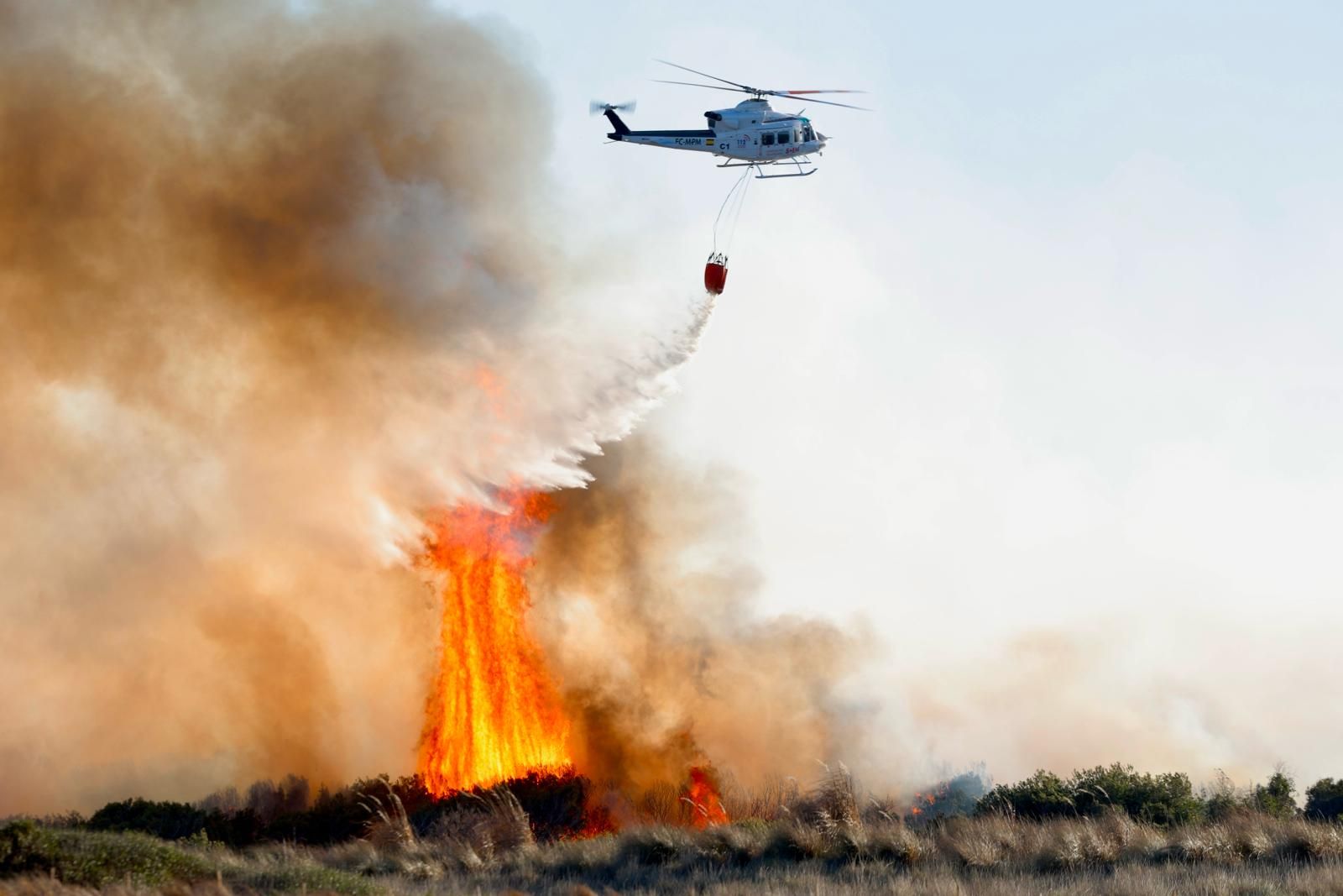 Declarado un incendio en el Saler