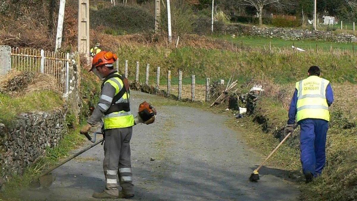 Trabajos de desbroces y limpieza en Cerdedo Cotobade