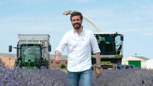 Casado, el 25 de julio, en un campo de lavanda de Brihuega (Guadalajara). 