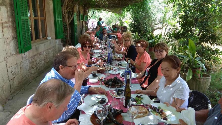 Montuïri celebra su segunda Trobada de Quintades