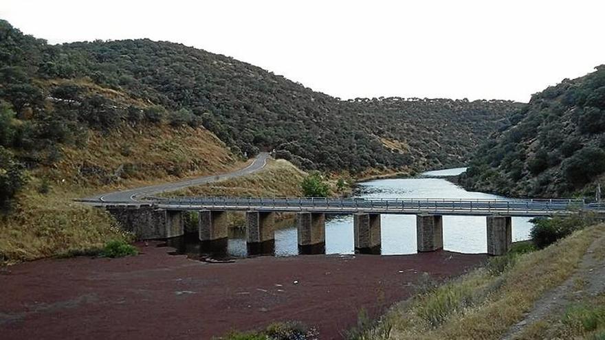 La azolla en el río Almonte comienza a remitir