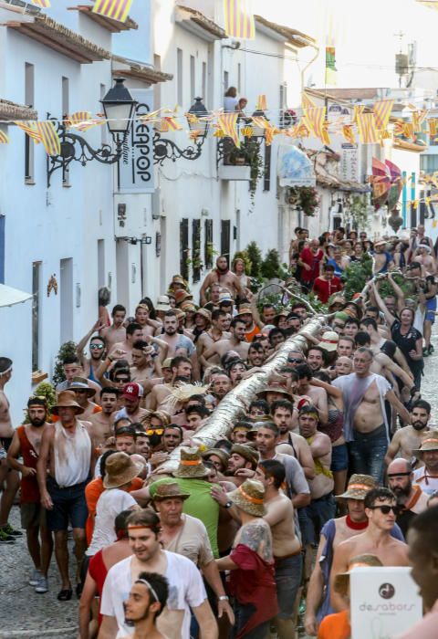 La «Plantà de l'Arbret», un rito ancestral