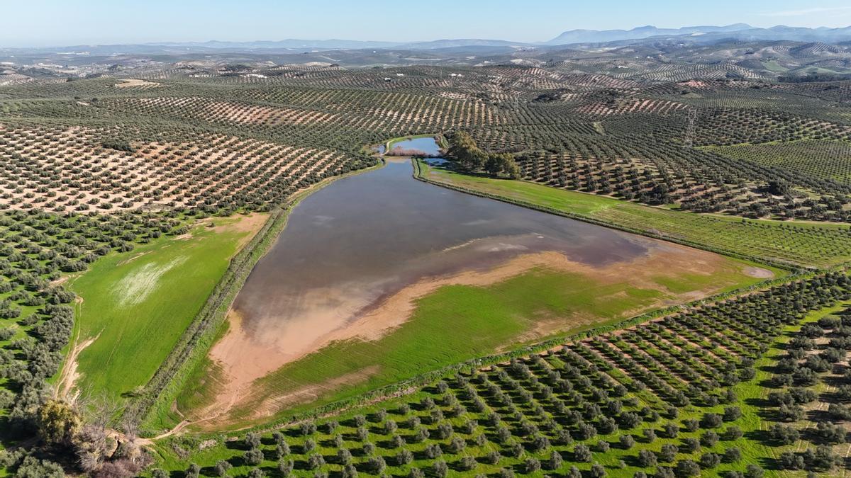 Laguna de Vadohondo, en Lucena.