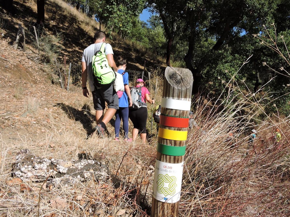 El nuevo visor de rutas de la Gran Senda de Málaga ofrece itinerarios para todo tipo de excursionistas.
