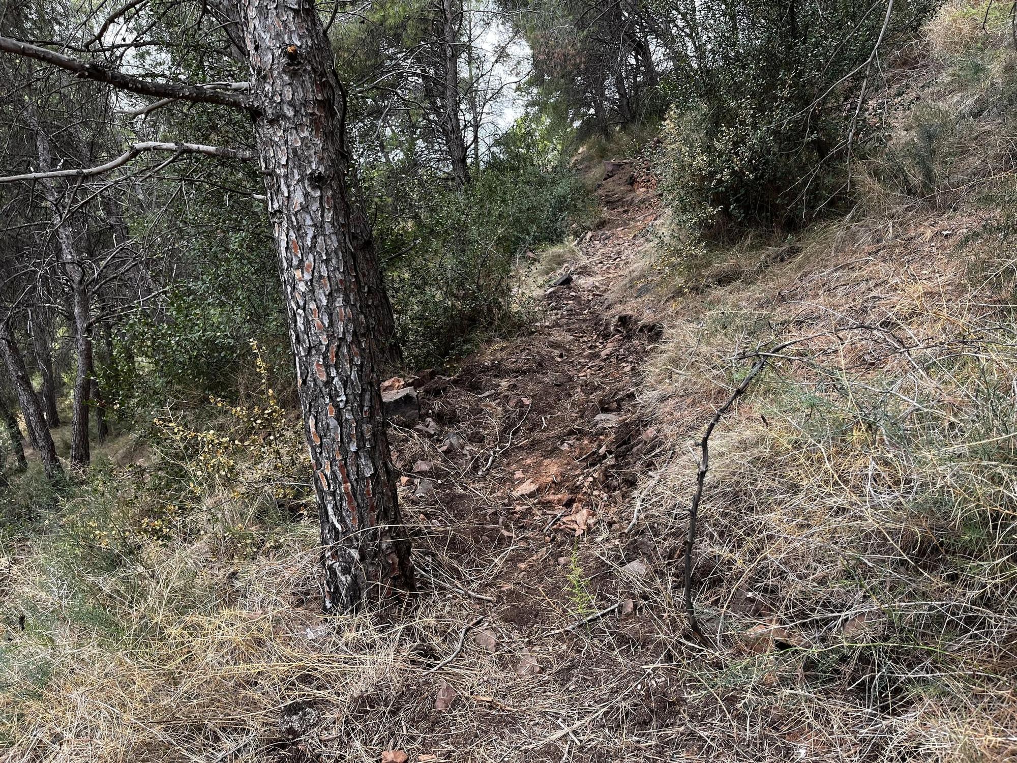 Las imágenes de la pista ilegal abierta en la Vilavella para practicar BTT