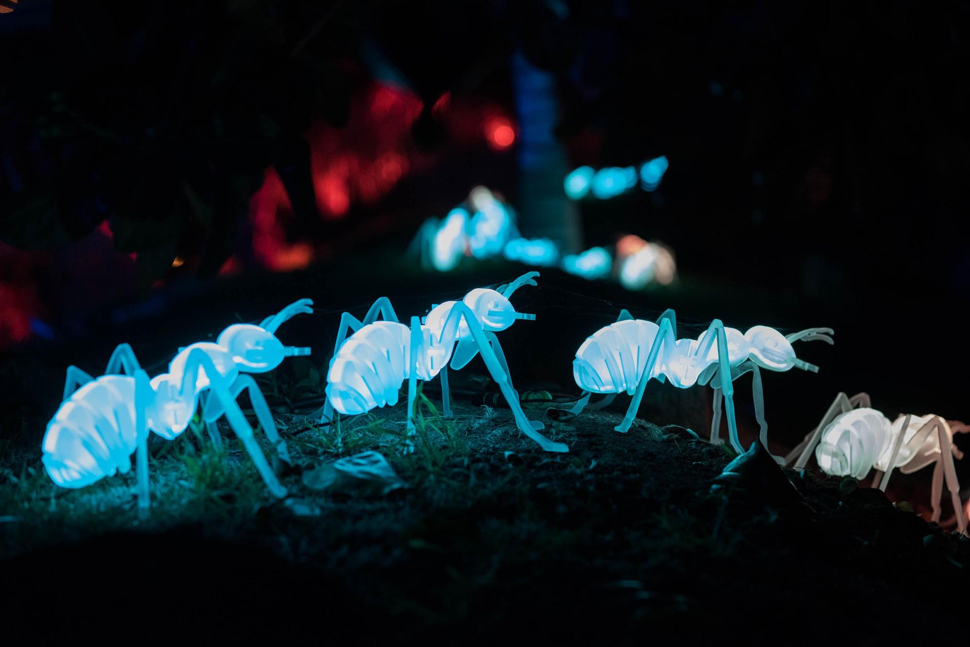 Estreno del espectáculo 'Naturaleza Encendida' en el Palmetum