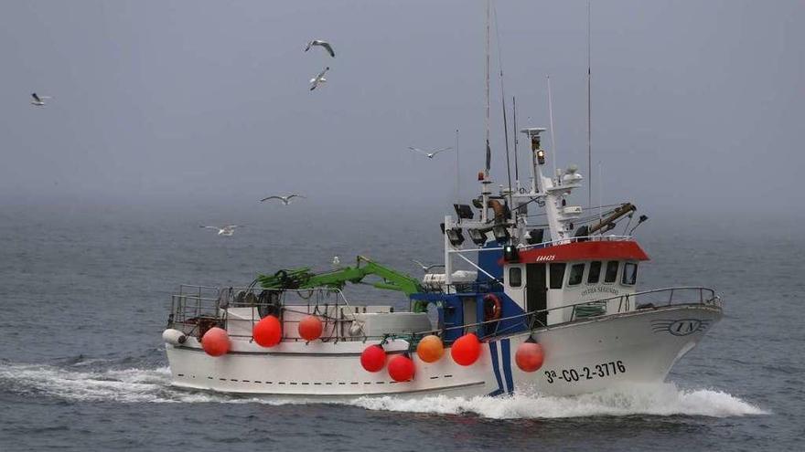 Un cerquero gallego regresa a puerto tras una jornada de trabajo.