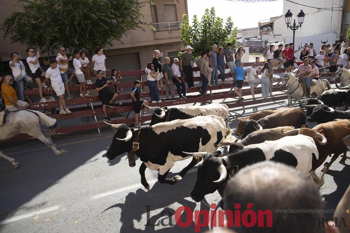 Tercer encierro de las Fiestas de Moratalla