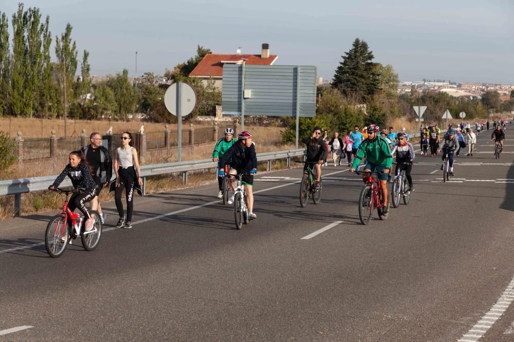 Las mejores imagenes de la marcha de Asprosub 2019