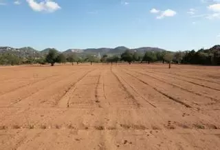 Ni una gota de lluvia, ni un grano de cereal en Ibiza