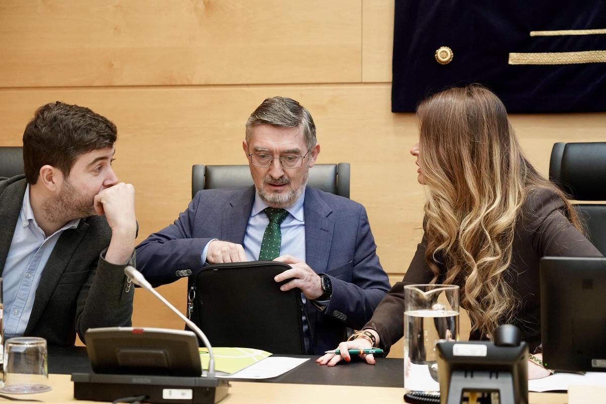 El director general de Patrimonio Natural y Política Forestal, José Ángel Arranz Sanz durante su comparecencia.