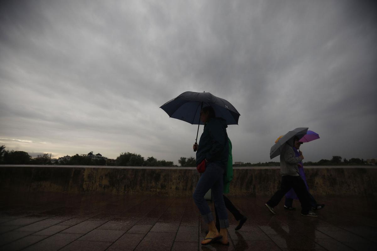 Unas personas tratan de protegerse de la lluvia y de las rachas de viento este viernes en Córdoba.