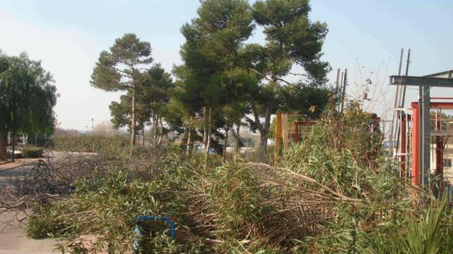 Interior de la depuradora de Pinedo cuando se acabó con la mayoría de vegetación.