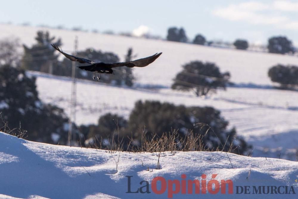 La nieve sigue siendo protagonista en el Noroeste