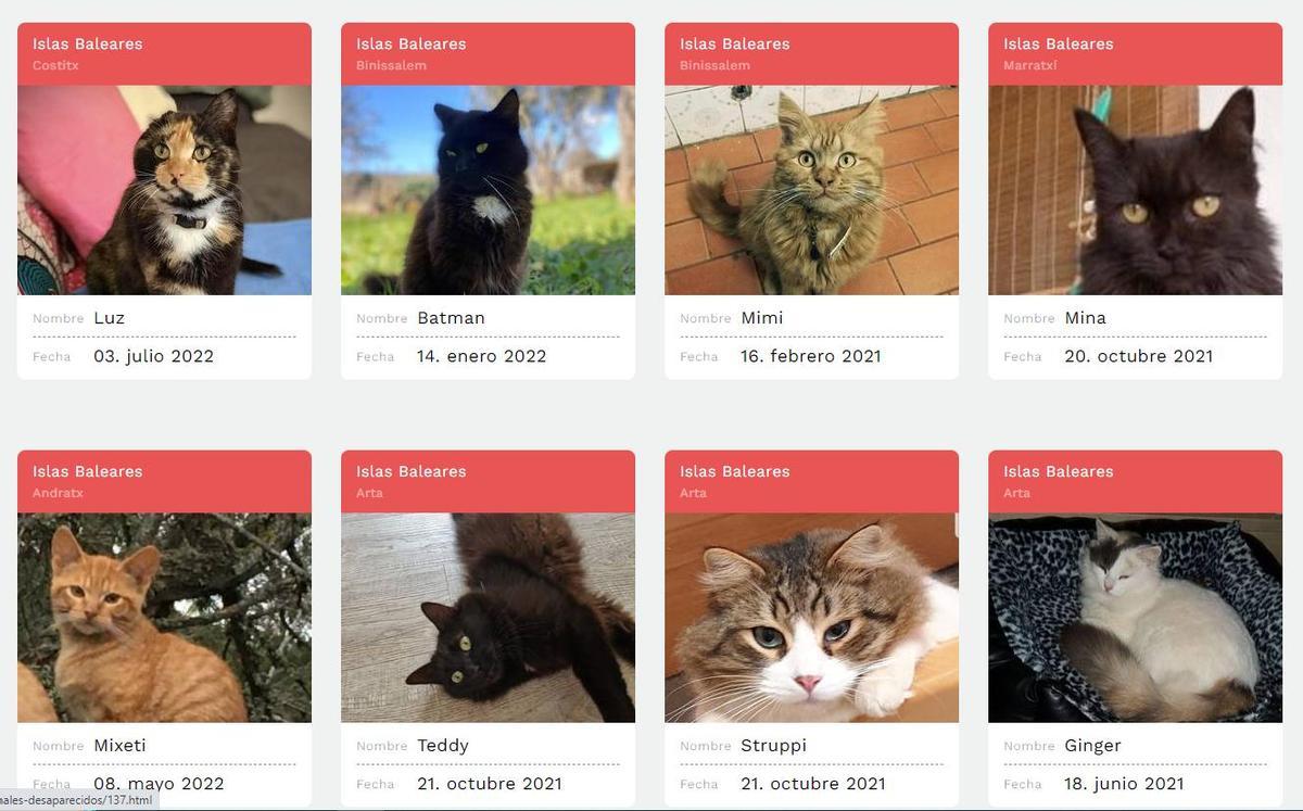 El registro de msacotas perdidas de Mascotafind.