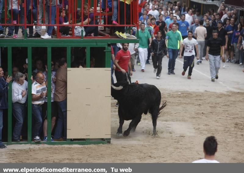 Bou per la vila en Vila-real