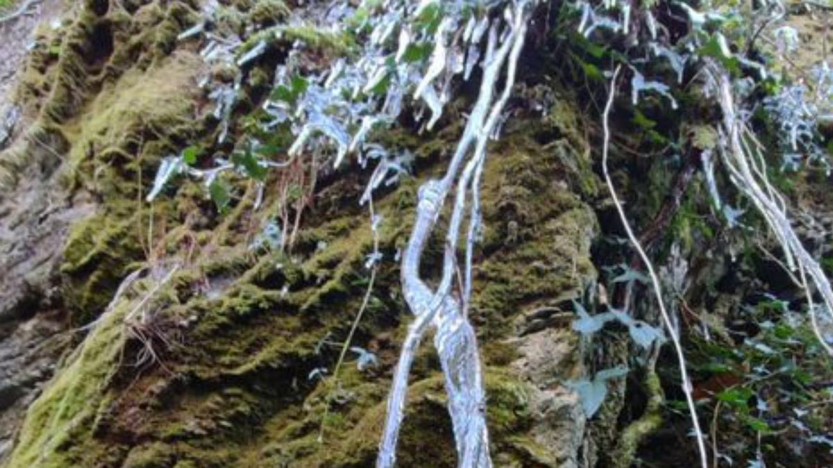 Los carámbanos se dejan ver en Cruces