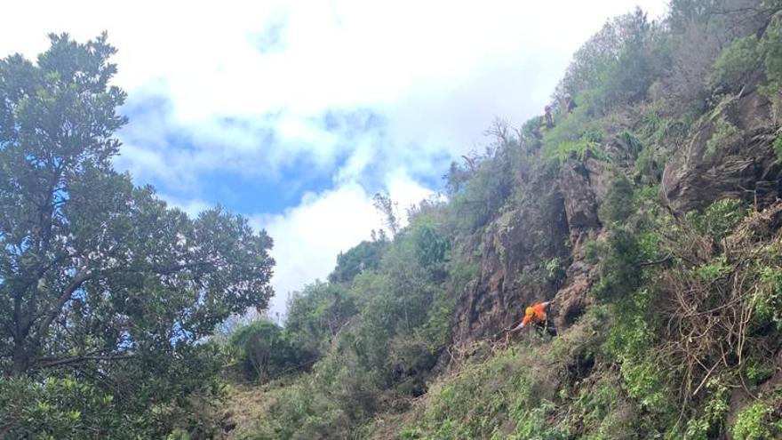 Trabajos en el barranco de Gallegos.