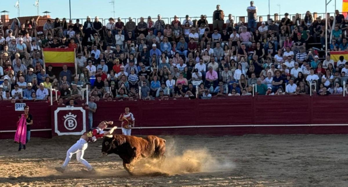Concurso de Cortes de Novillos.