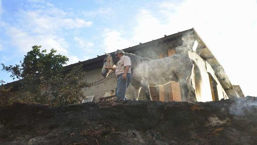 Un caballo en una zona calcinada en Ponte Caldelas. // Gustavo Santos