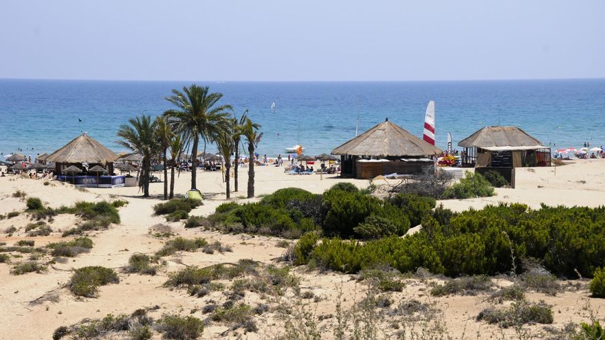 El turismo en Elche alcanza niveles históricos en 2024
