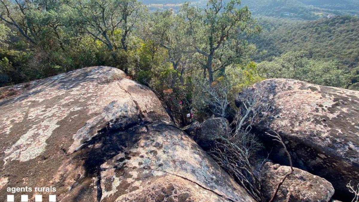 La zona afectada per l’incendi forestal a Calonge. | AGENTS RURALS/MOSSOS