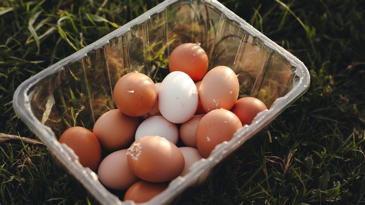 Los nuevos huevos que triunfan en Mercadona