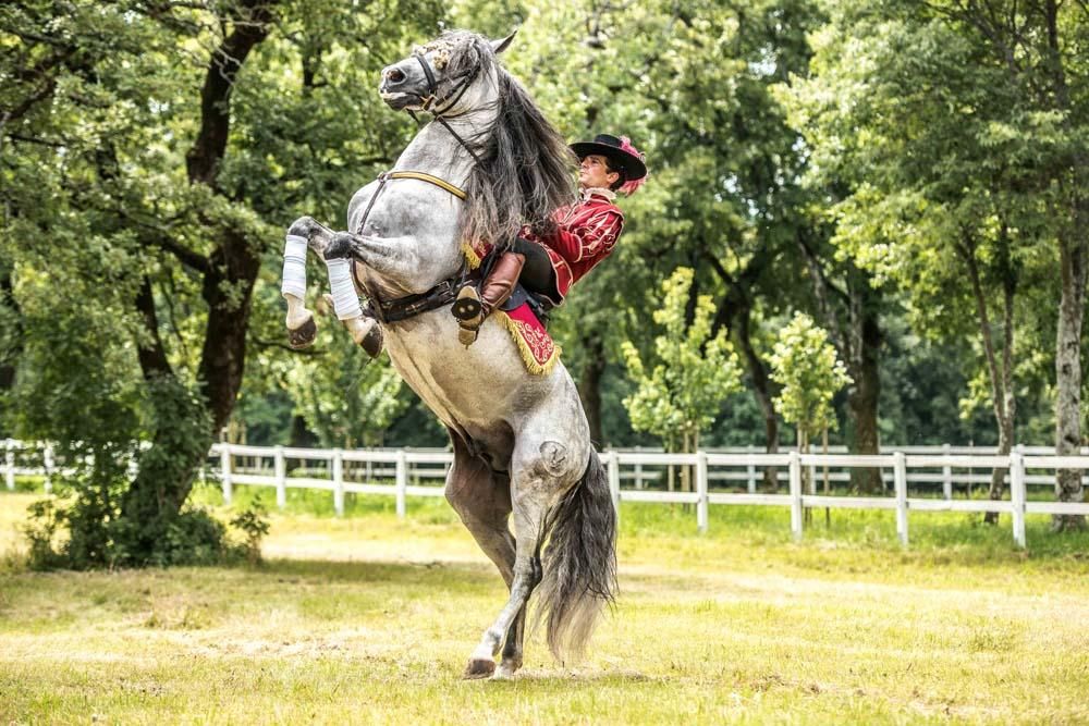 Así bailan los caballos cordobeses en Eslovenia