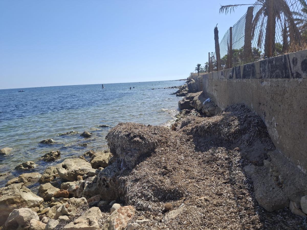 Zambullirse en una playa en ruinas en Dénia (imágenes) Zambullirse en una playa en ruinas en Dénia (imágenes)