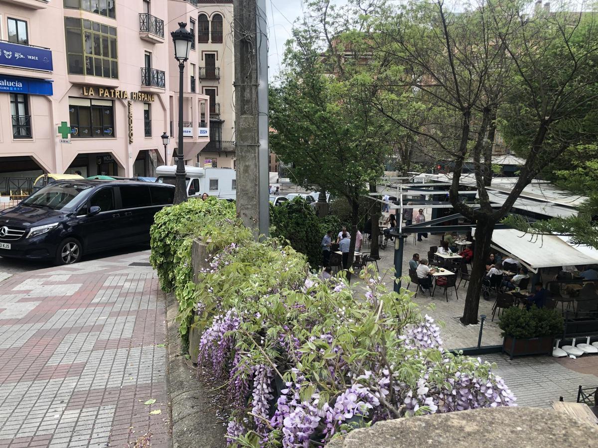 Fotogalería | La calle María Telo de Cáceres y la Agencia Tributaria