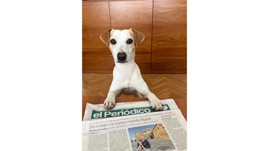 Pipper, el perro turista que ‘lee’ el Periódico Extremadura