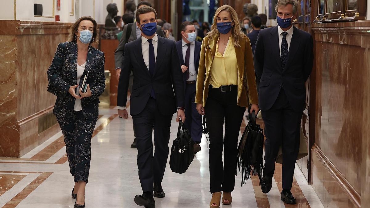 El presidente del PP, Pablo Casado, a su llegada al Congreso.